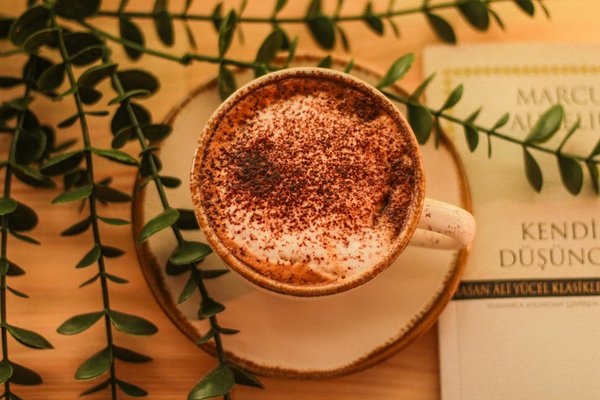 Peluche carapuce : le cadeau parfait