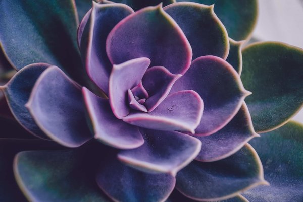 Comment choisir des accessoires en perles pour un look romantique ?