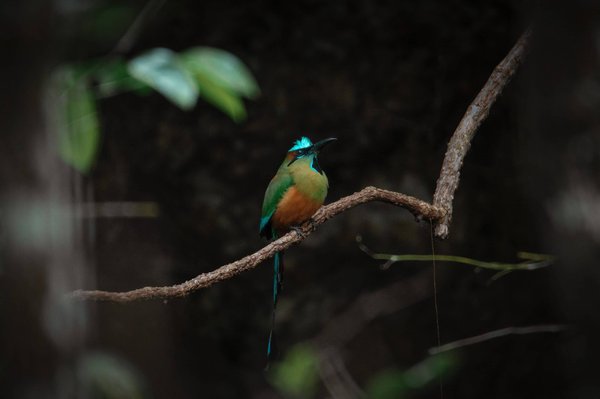 les bienfaits du sport sur la santé mentale
